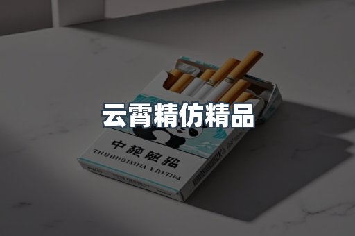 云霄精仿精品